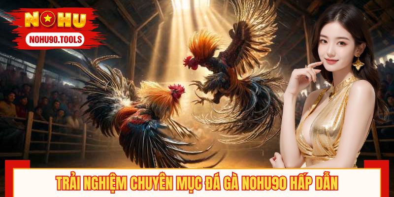 Trải nghiệm chuyên mục đá gà NOHU90 hấp dẫn