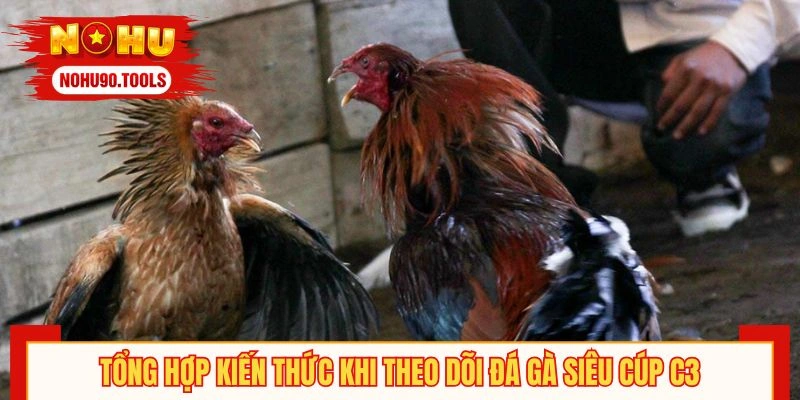 Tìm hiểu về quy luật tham gia tại đấu chiến kê C3